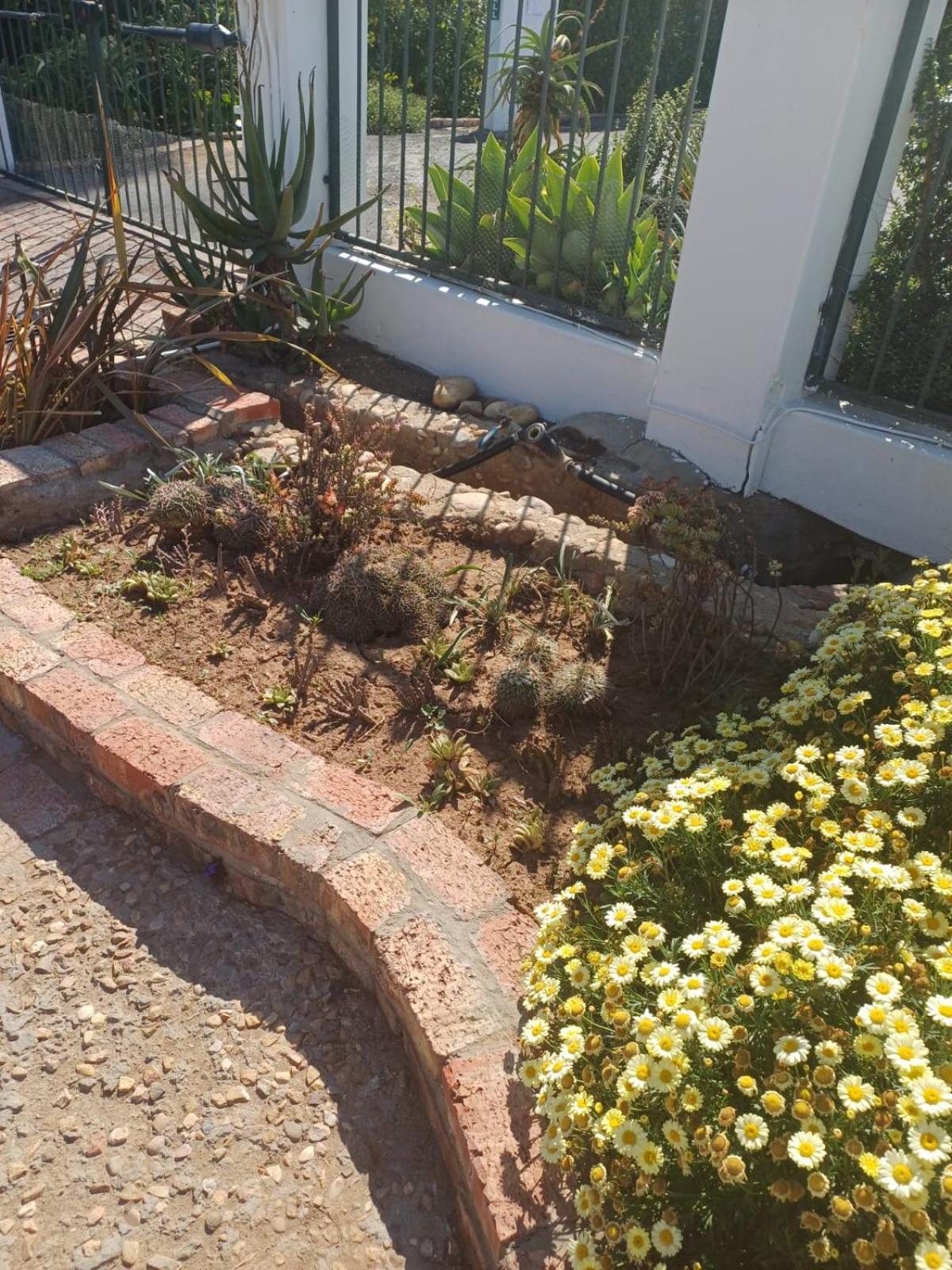 Bed and Breakfast De Oude Yotclub Oudtshoorn Exterior foto